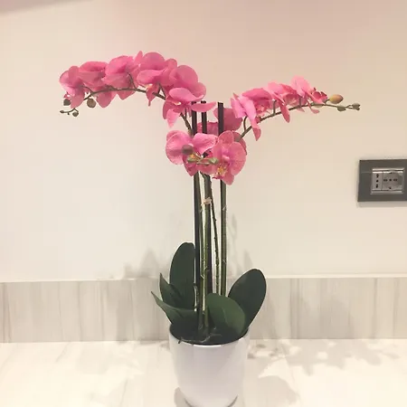 Cinqueterre Behind Гостьовий будинок Ла-Спеція