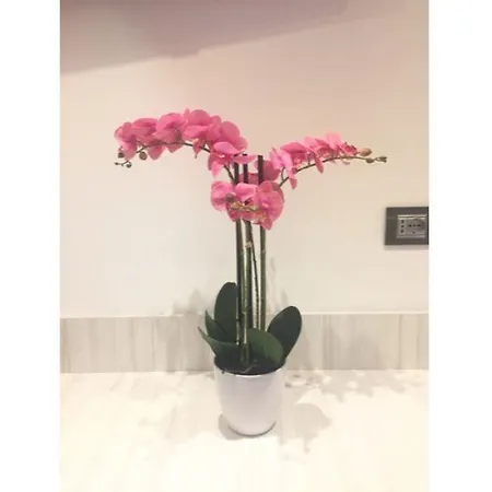 Cinqueterre Behind 4* Ла-Спеція